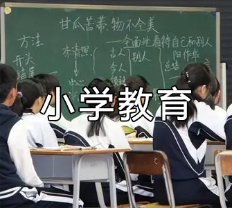 小學教育（?？疲┳钥紝？茖I